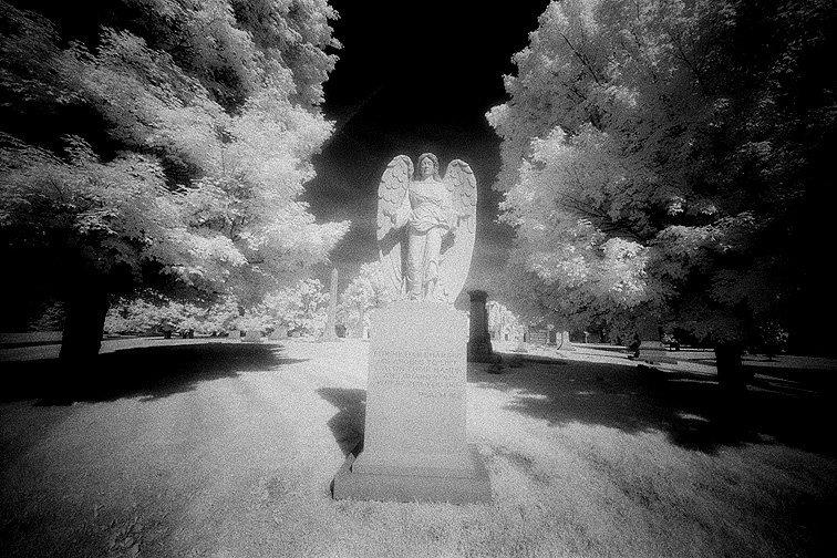 Crown Hill - by chuckv