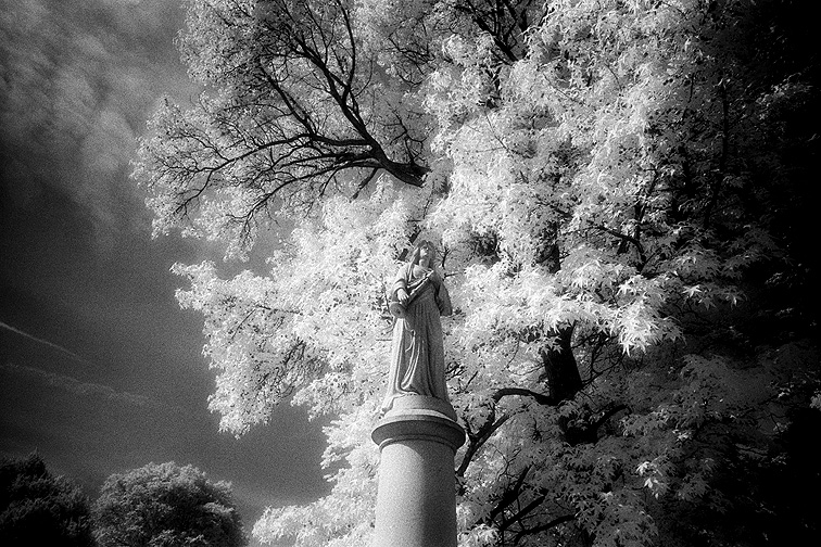 Crown Hill - by chuckv