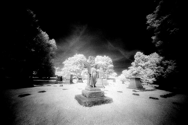 Crown Hill - by chuckv