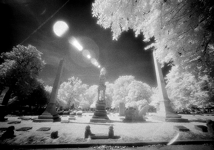Elmwood - by chuckv