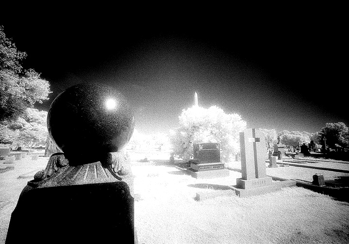 Elmwood - by chuckv