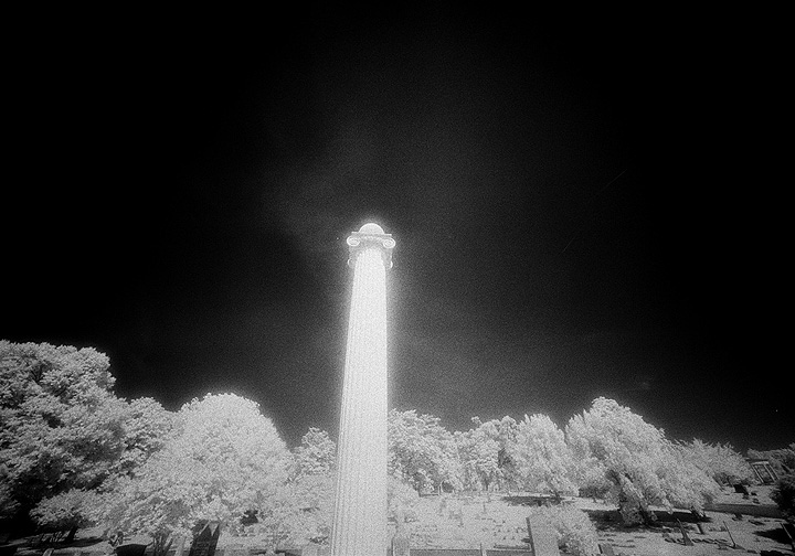 Elmwood - by chuckv