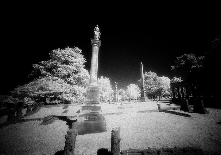 Elmwood - by chuckv
