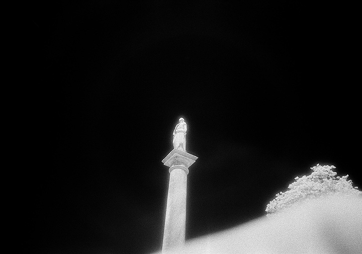 Elmwood - by chuckv
