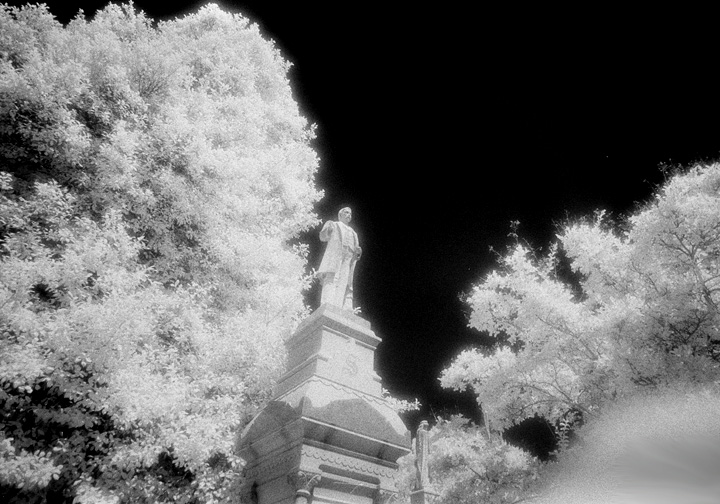Elmwood - by chuckv
