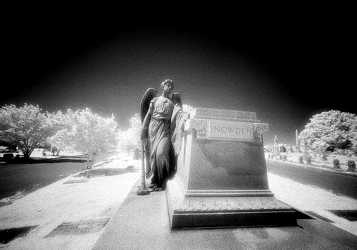 Elmwood - by chuckv