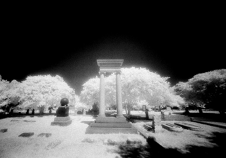 Elmwood - by chuckv