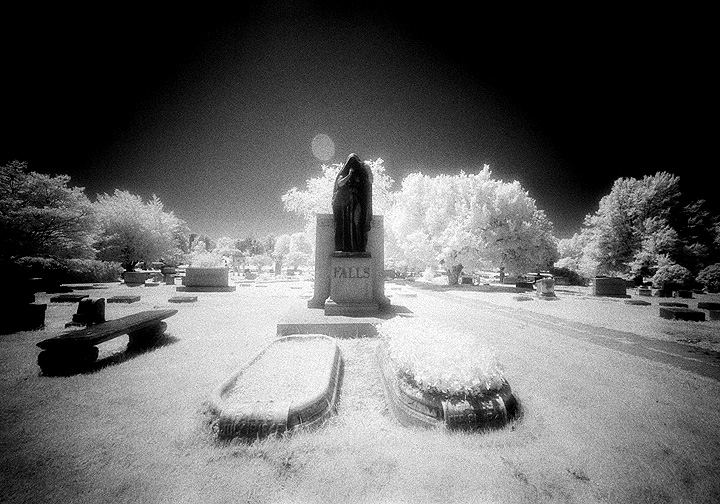 Elmwood - by chuckv
