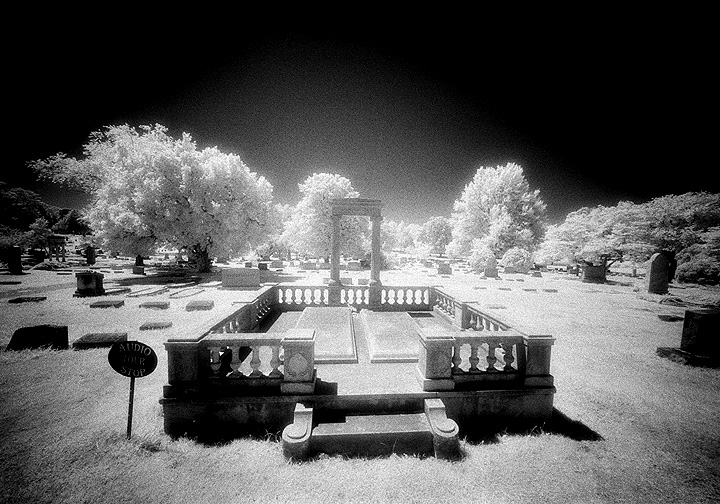 Elmwood - by chuckv