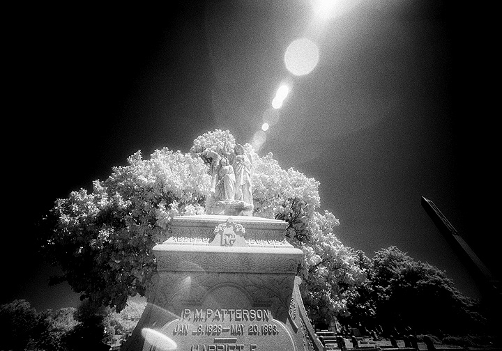 Elmwood - by chuckv