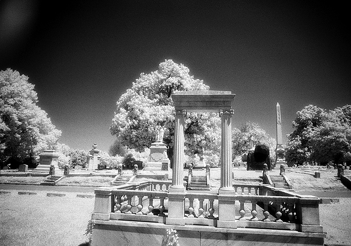 Elmwood - by chuckv