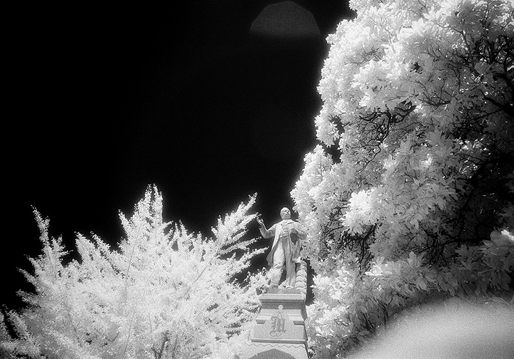 Elmwood - by chuckv