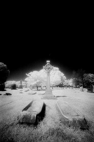Elmwood - by chuckv