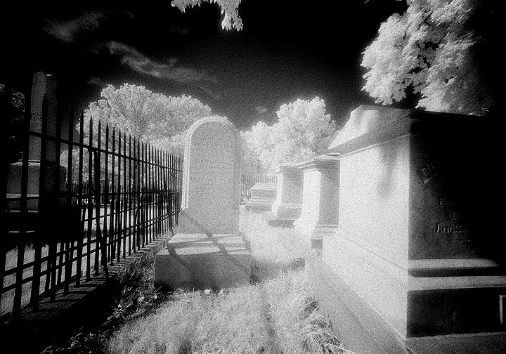 Nashville - by chuckv