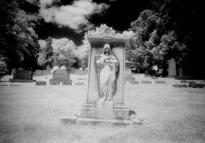 Prospect Hill - by chuckv