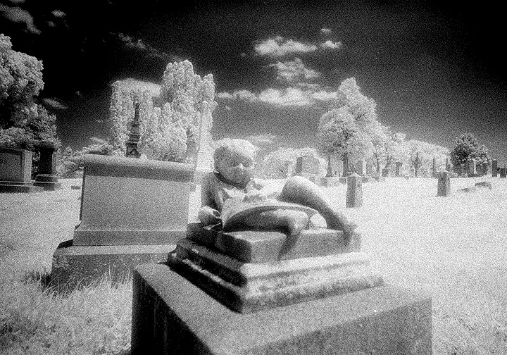 Prospect Hill - by chuckv