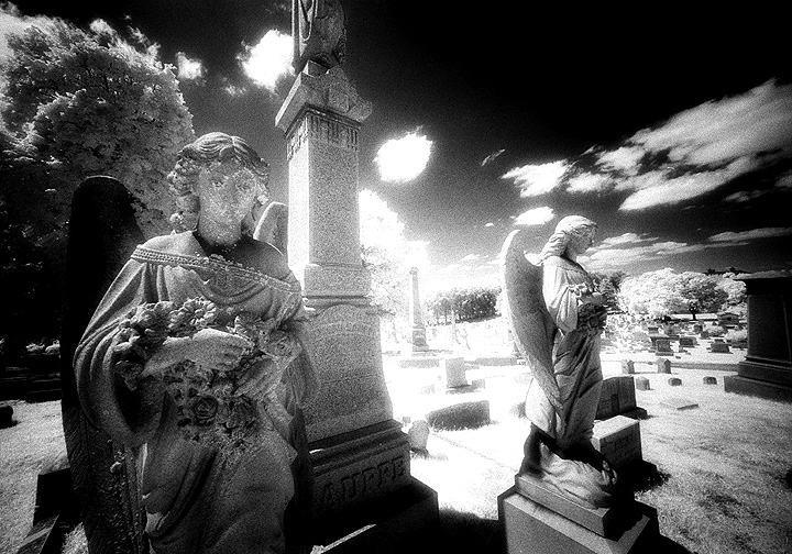 Prospect Hill - by chuckv