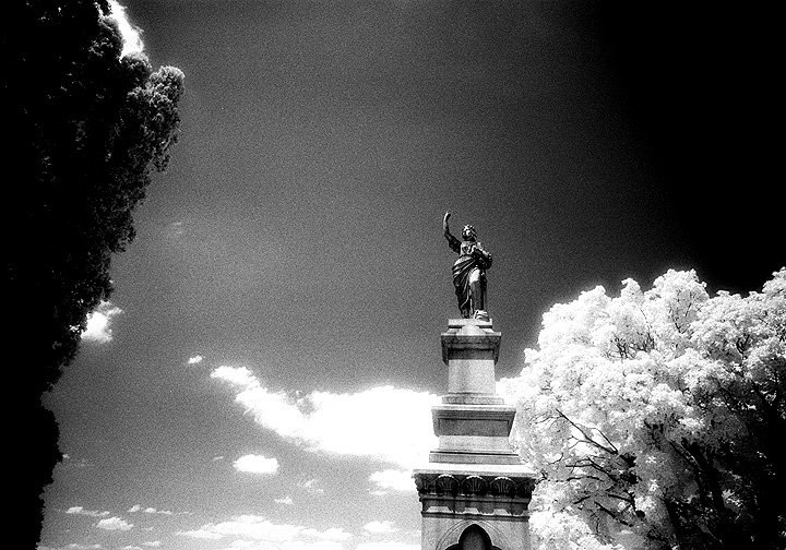 Prospect Hill - by chuckv