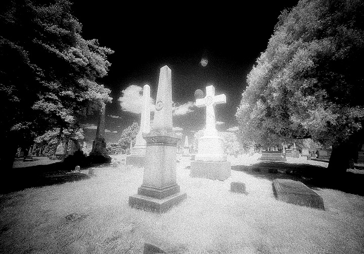 Prospect Hill - by chuckv