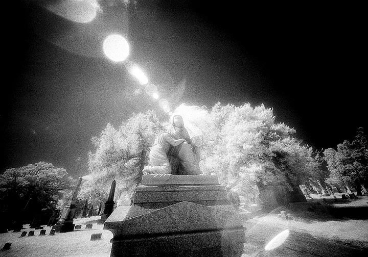 Prospect Hill - by chuckv