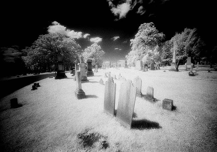 Prospect Hill - by chuckv