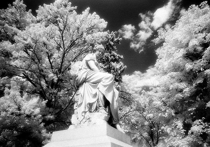 Prospect Hill - by chuckv