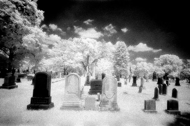 Riverview - by chuckv