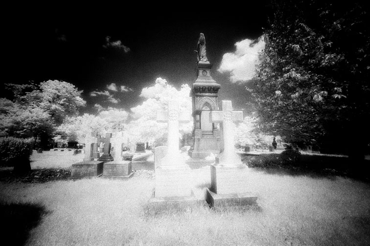 Riverview - by chuckv