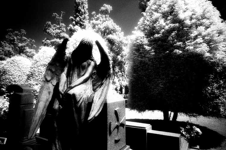 Cimitero Monumentale di Milano