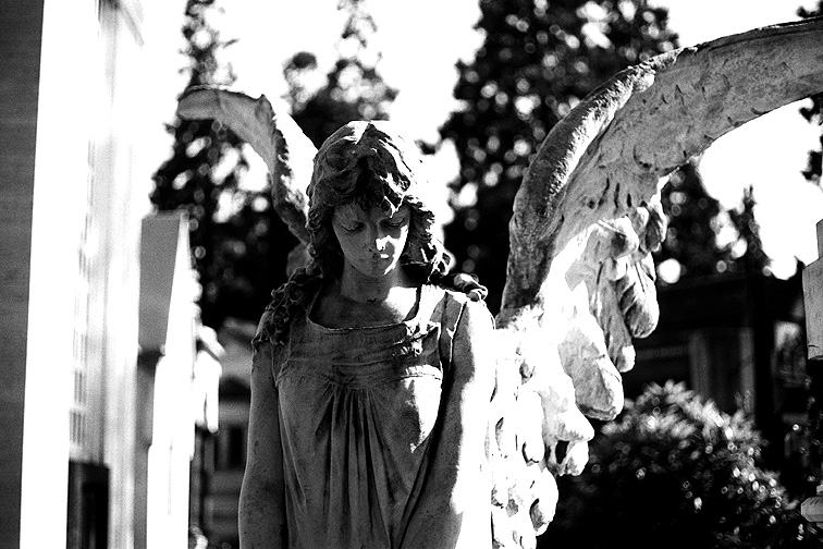 Monumentale B&W - by chuckv