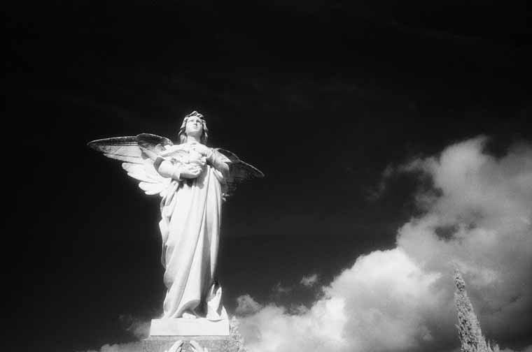 Cementerio Arneys de Mar