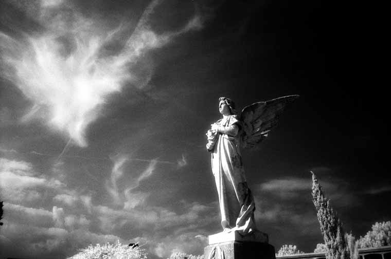 Cementerio Arneys de Mar