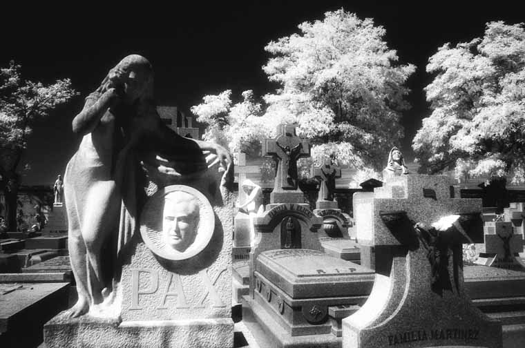 Cementerio de la Almudena