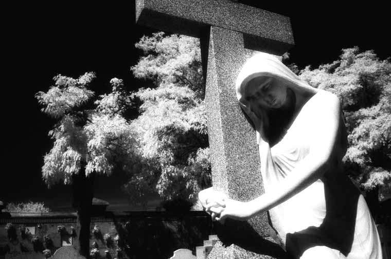 Cementerio de la Almudena
