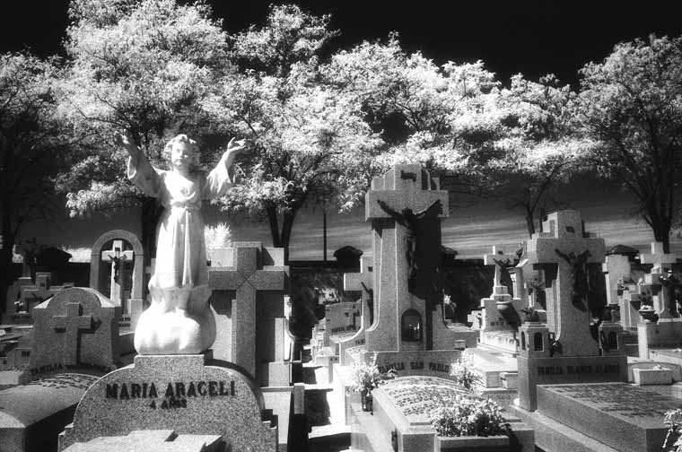 Cementerio de la Almudena