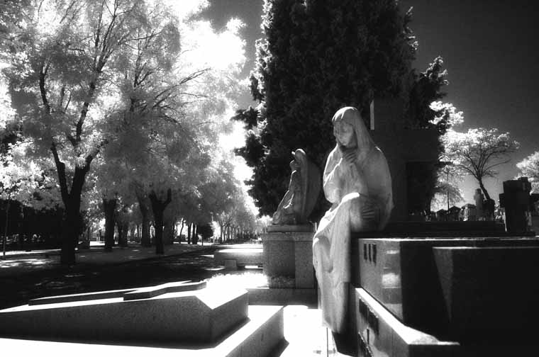 Cementerio de la Almudena