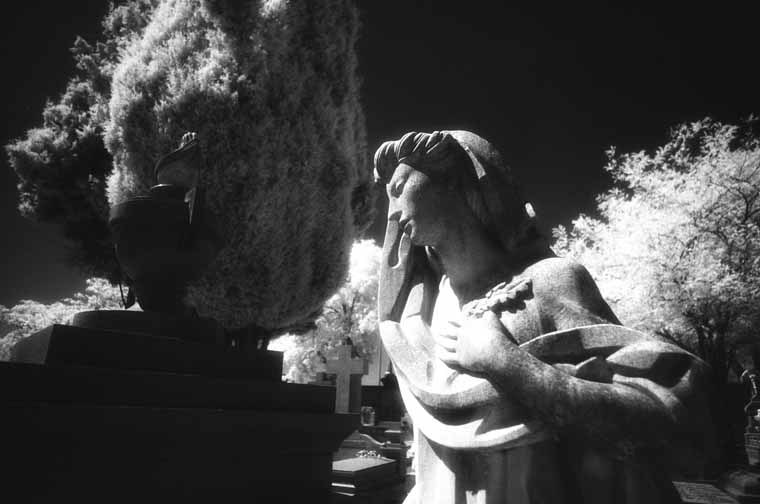 Cementerio de la Almudena
