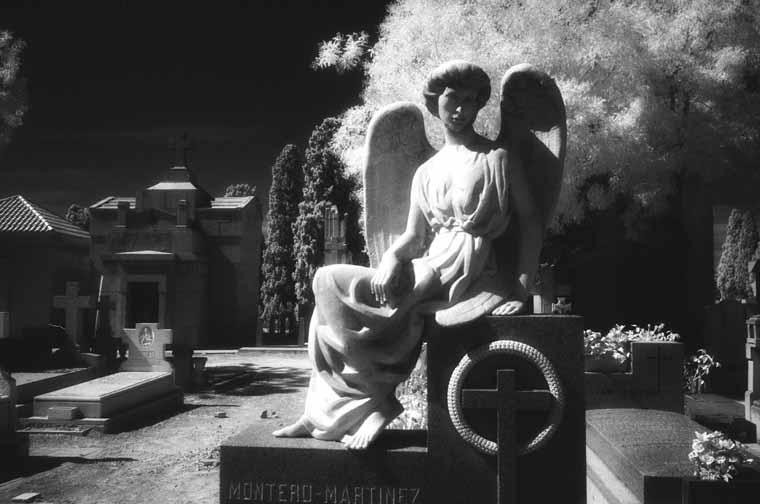 Cementerio de la Almudena