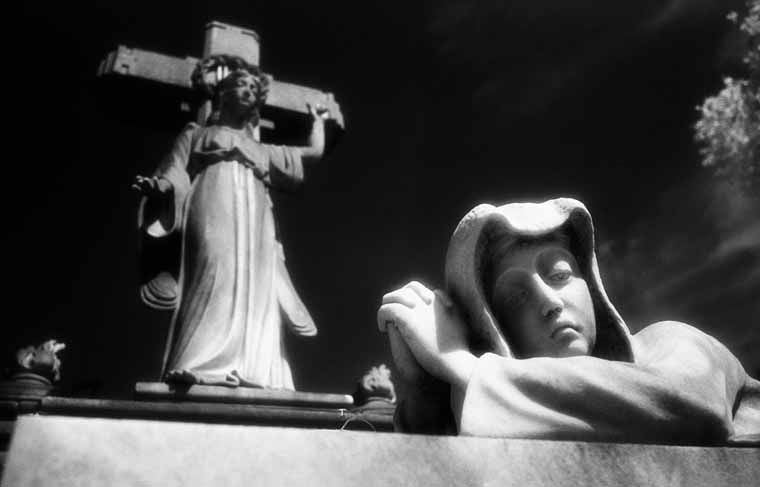 Cementerio Municipal Polloe