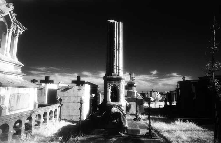 Cementerio Municipal de Ciriego