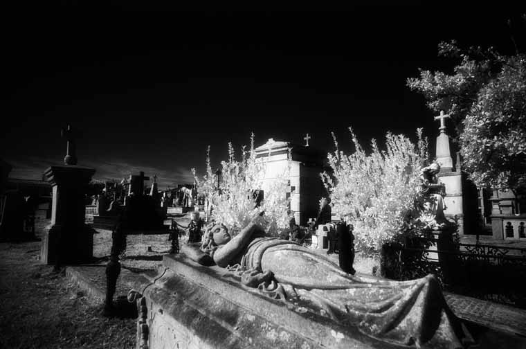 Cementerio Municipal de Ciriego
