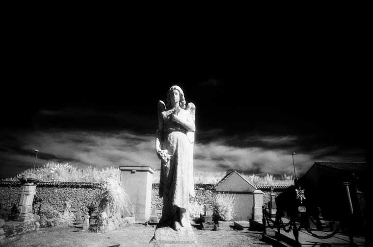 Cementerio Municipal de Ciriego