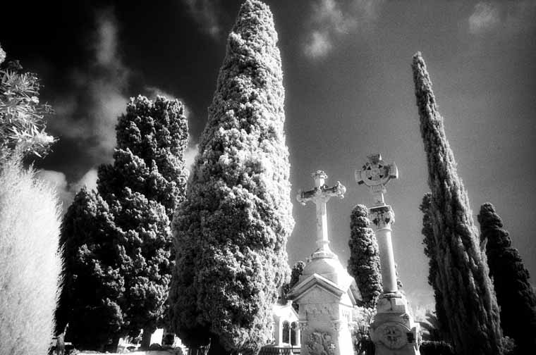 Cementerio de Sitges