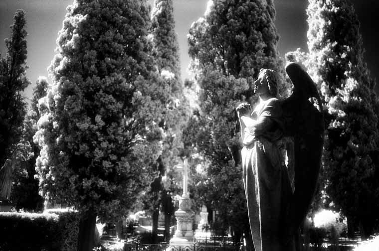 Cementerio de Vilafranca del Penedes