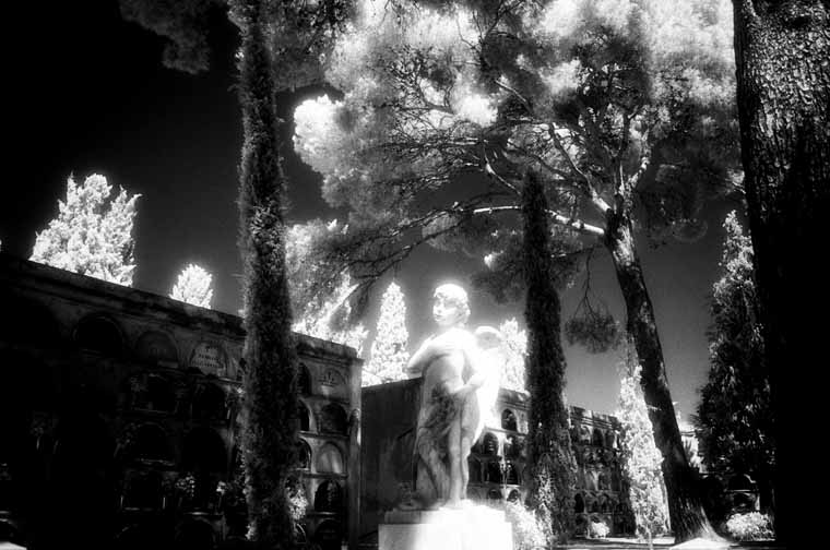 Cementerio de Vilafranca del Penedes