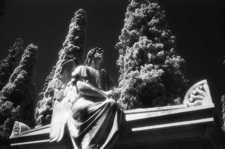 Cementerio de Vilafranca del Penedes