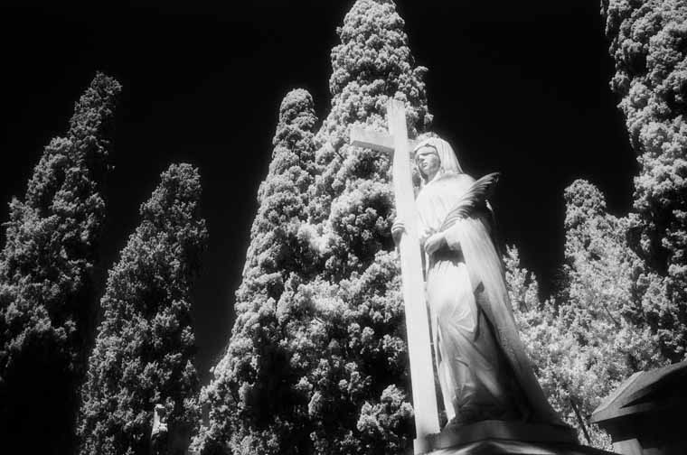 Cementerio de Vilafranca del Penedes