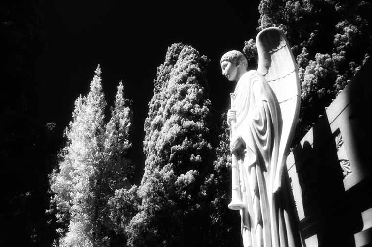 Cementerio de Vilafranca del Penedes