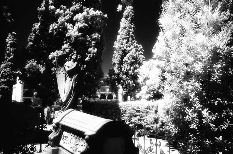 Cementerio de Vilafranca del Penedes
