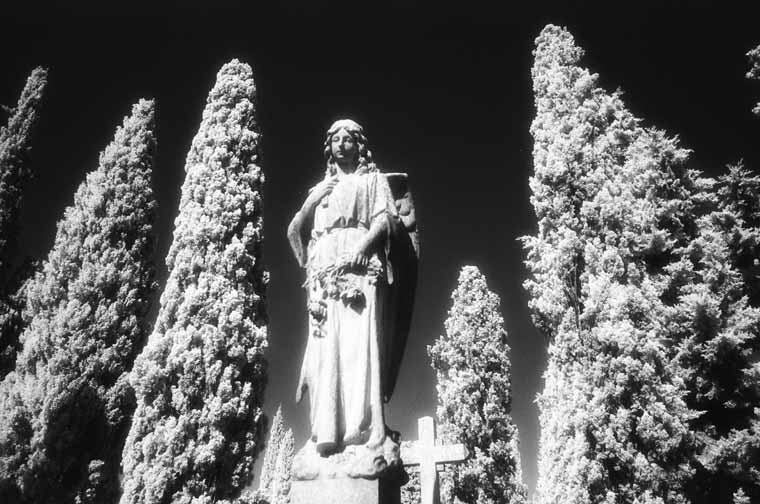 Cementerio de Zaragoza